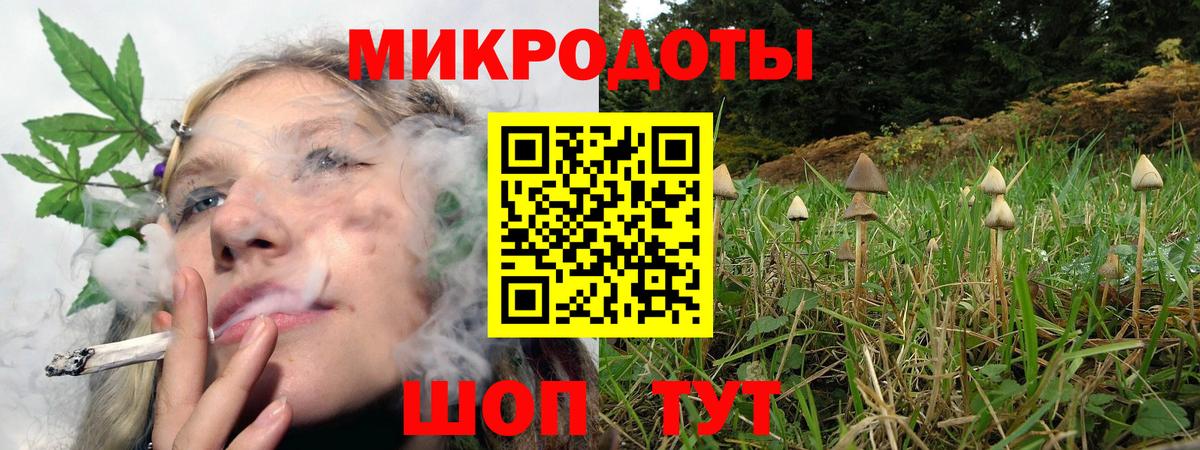 Кохма  Галлюциногенные грибы Cubensis  закладки  Вход с VPN 